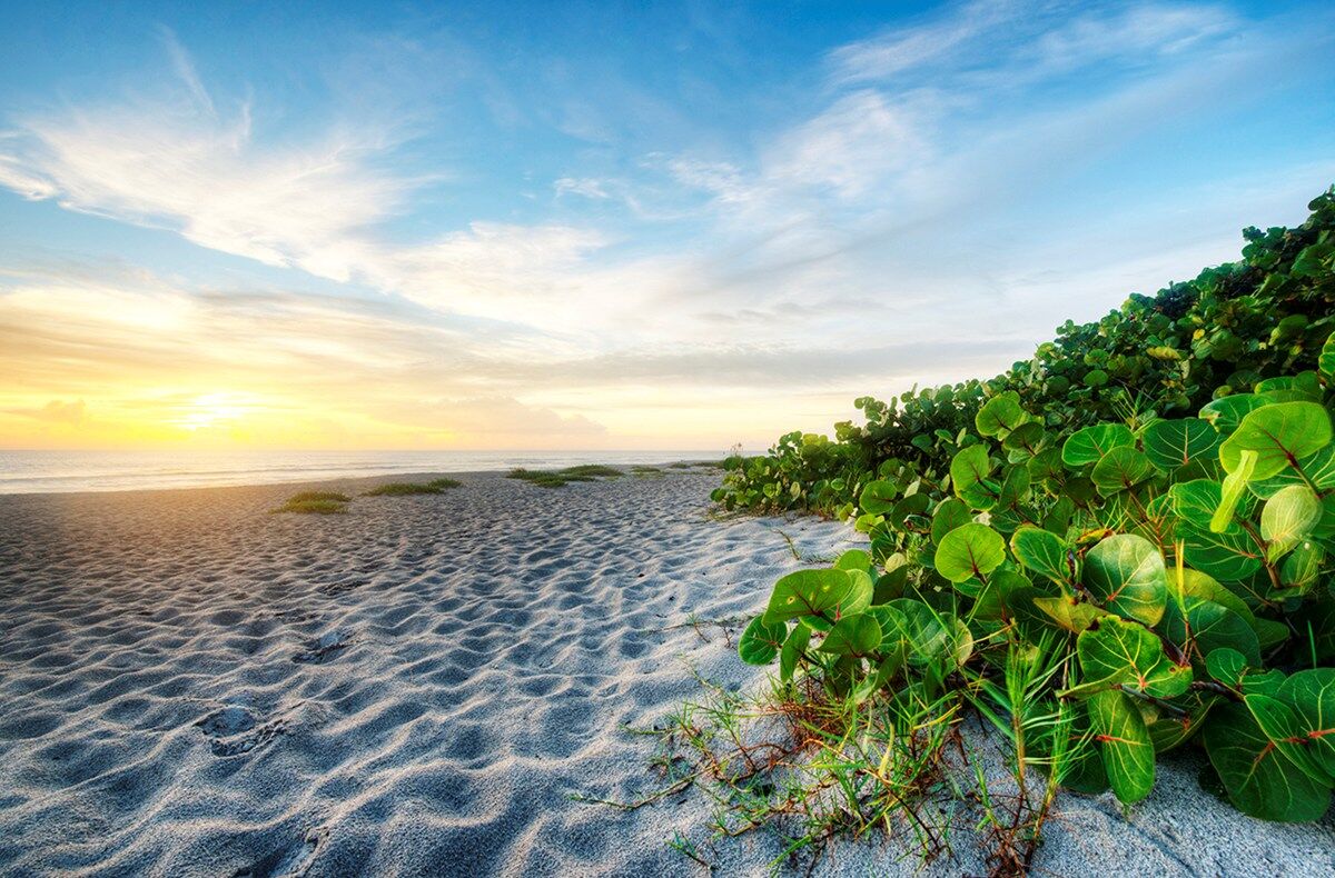 Top Ten Things to Do in Sarasota