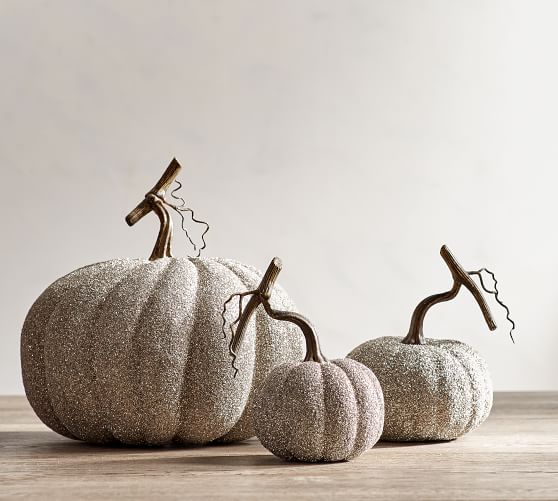 Fall Favorites