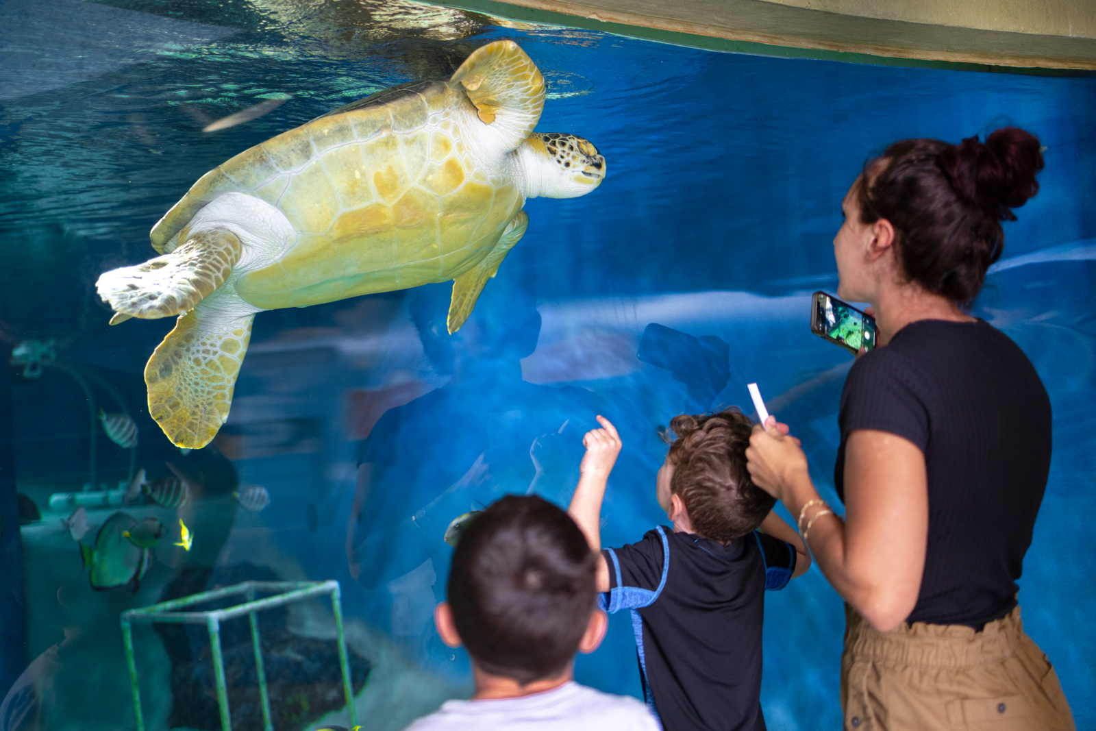 Neal Communities Donates $9,000 to Mote Marine Laboratory and Aquarium